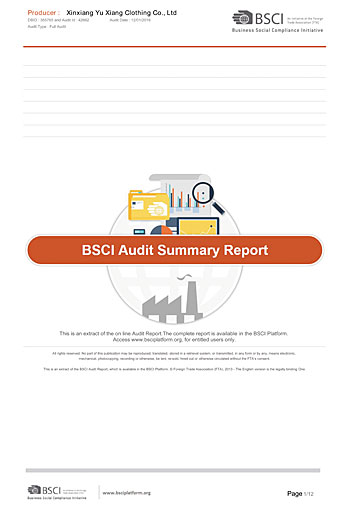BSCI AUDIT