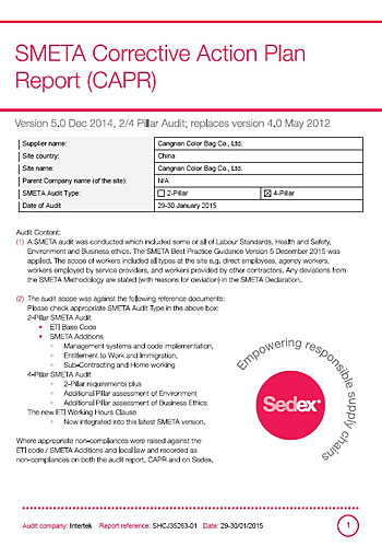 SEDEX-AUDIT